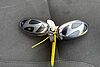 Hyundai TUCSON 1.6 T-GDi N Line S SUV 5dr Petrol Hybrid Auto Euro 6 (s/s) (215 ps) Grey